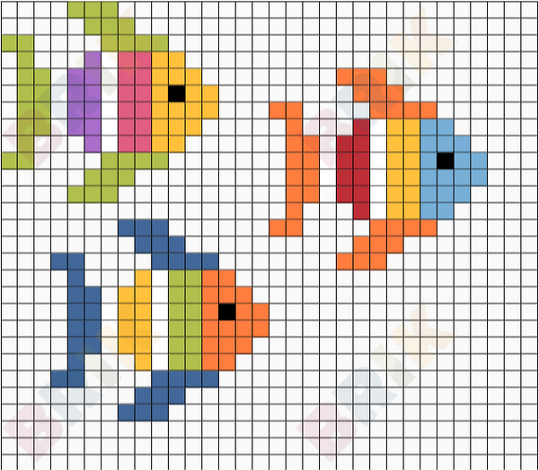 3 Colorful fish