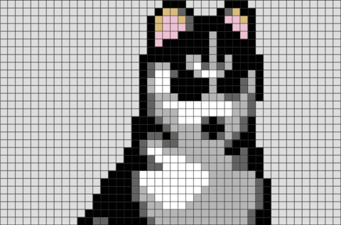 Siberian Husky Pixel Art