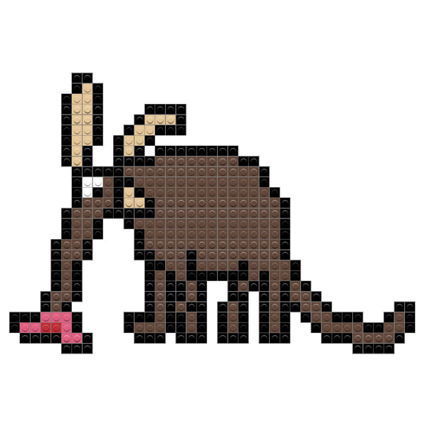 Aardvark