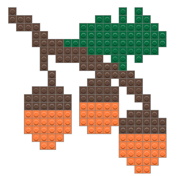 Acorn