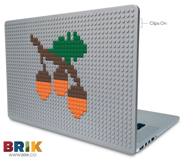 Acorn Laptop Case
