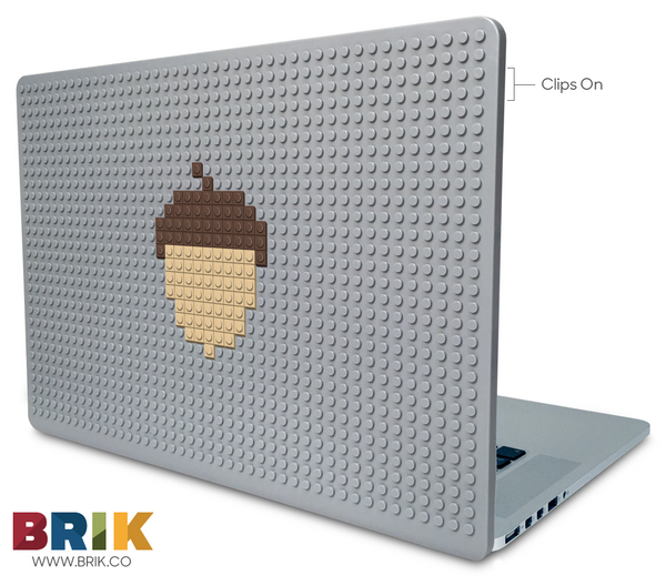 Acorn Laptop Case