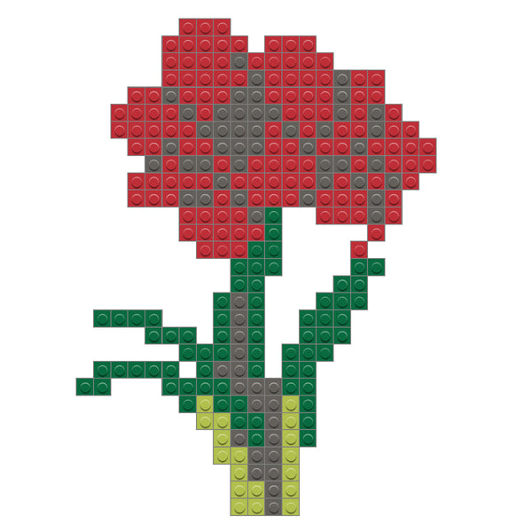 Amaryllis