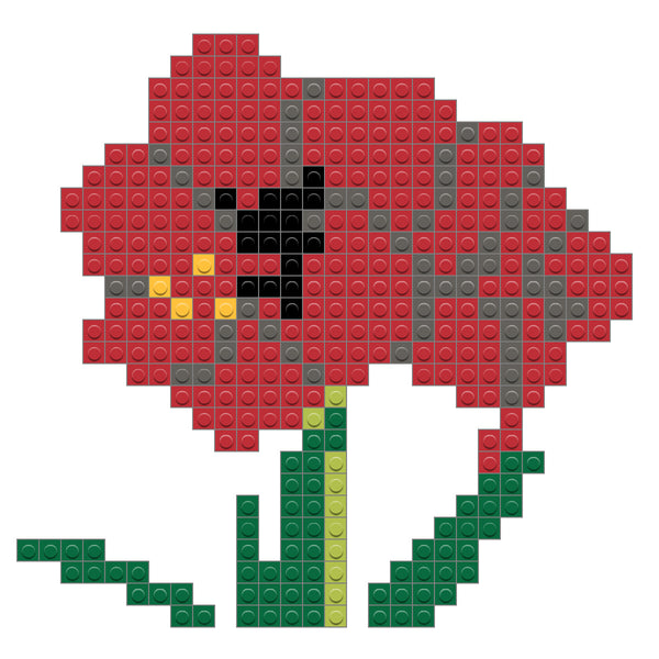 Amaryllis