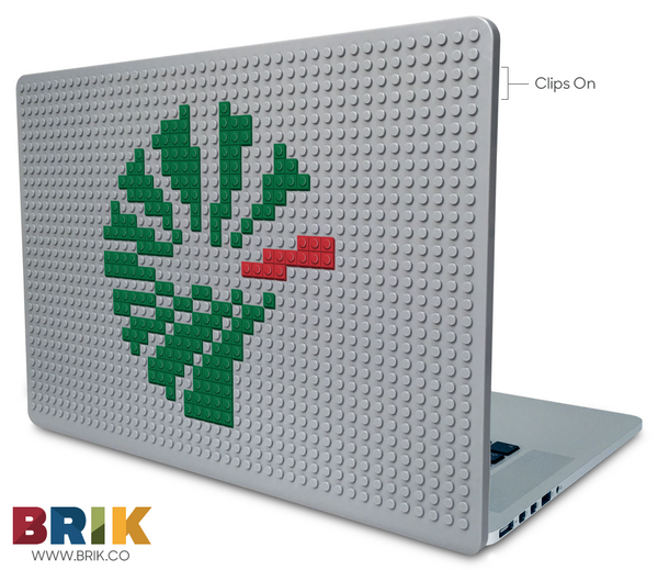 Ameren Corporation Laptop Case