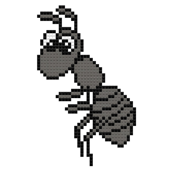 Ant