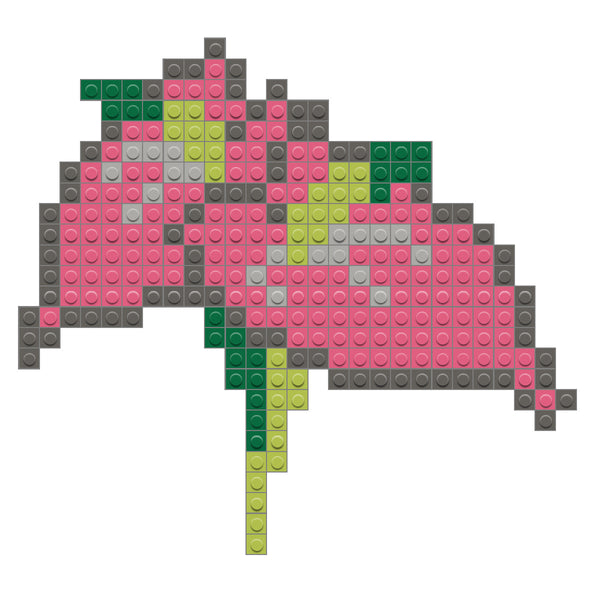 Anthurium