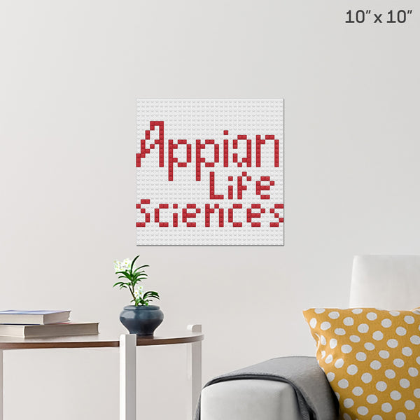 appian life sciences brik book lite final Brick Poster