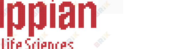 Appian Pixel Art