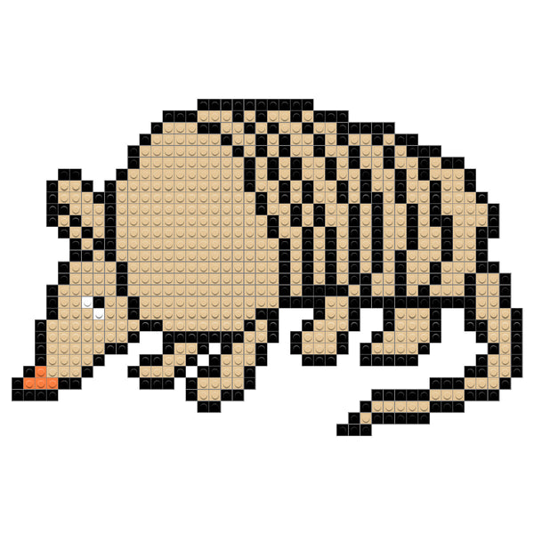Armadillo
