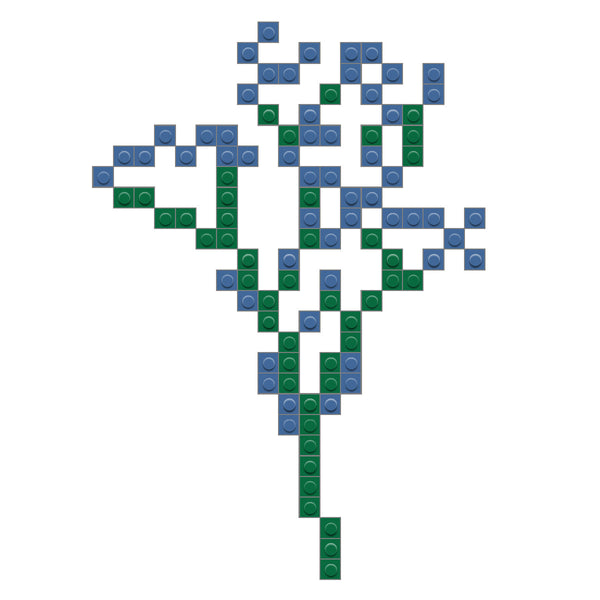 Baby's Breath Flower