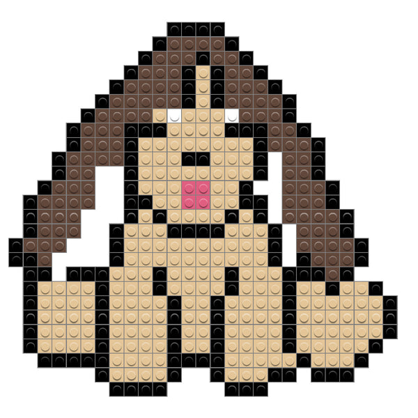 Basset Hound