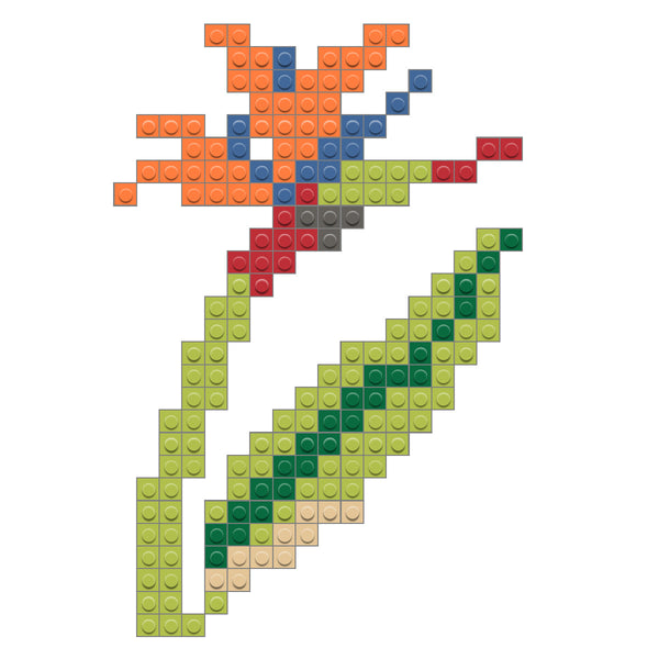 Bird of Paradise