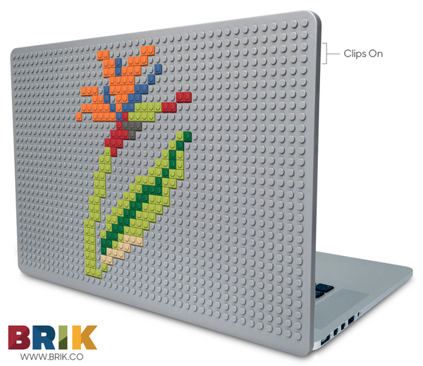 Bird of Paradise Laptop Case