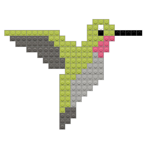 bird