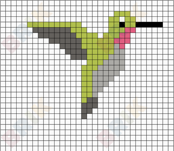 bird