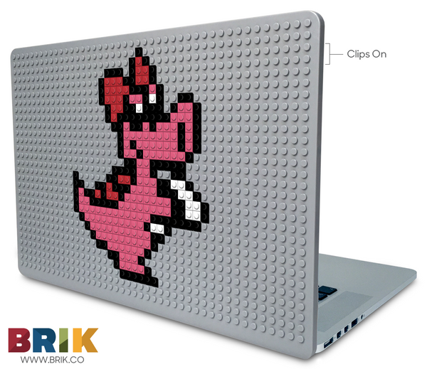 Birdo Laptop Case