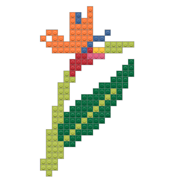Birds of Paradise