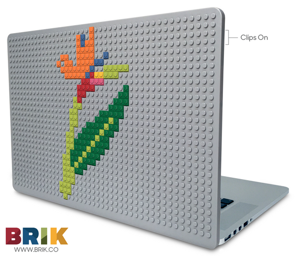 Birds of Paradise Laptop Case