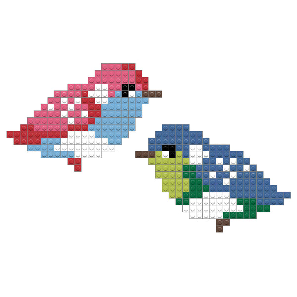 Birds