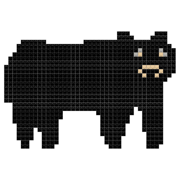 Black Bear