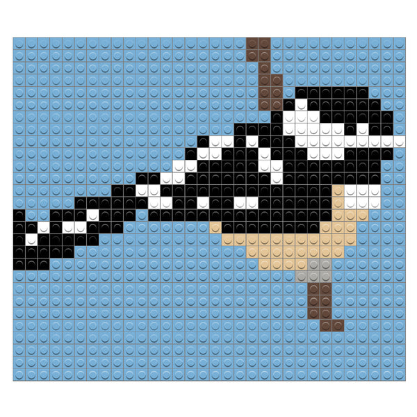 Black Capped Chickadee