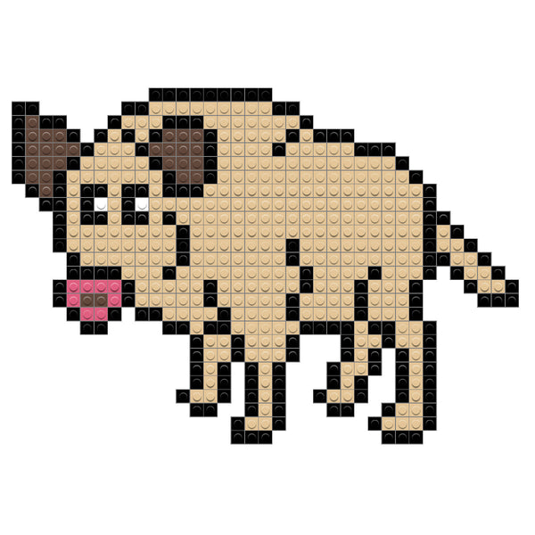 Boar