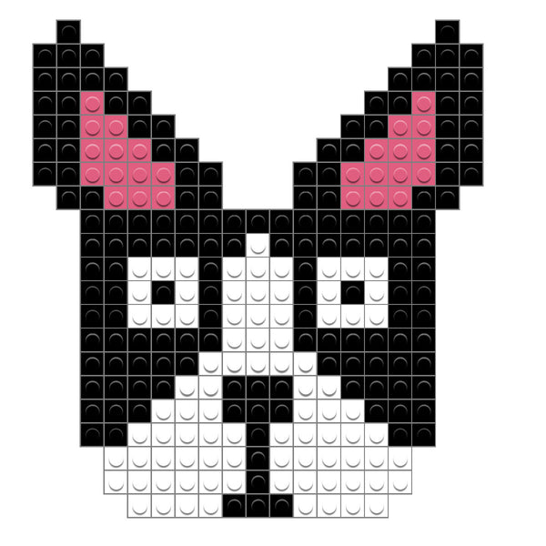 Boston Terrier Dog