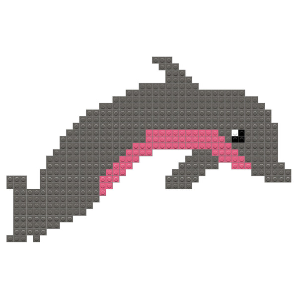 Bottlenose Dolphin