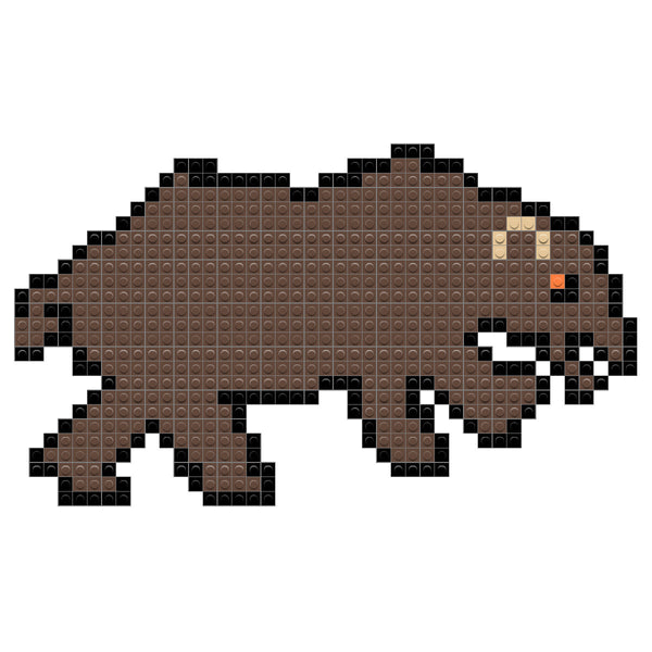 Brown Bear