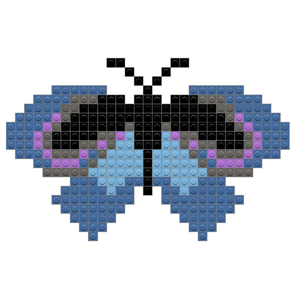 Butterfly - Pipevine Swallowtail