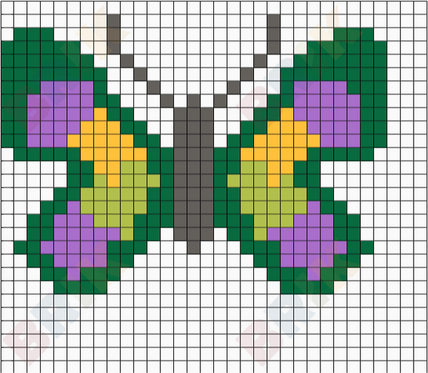 butterfly
