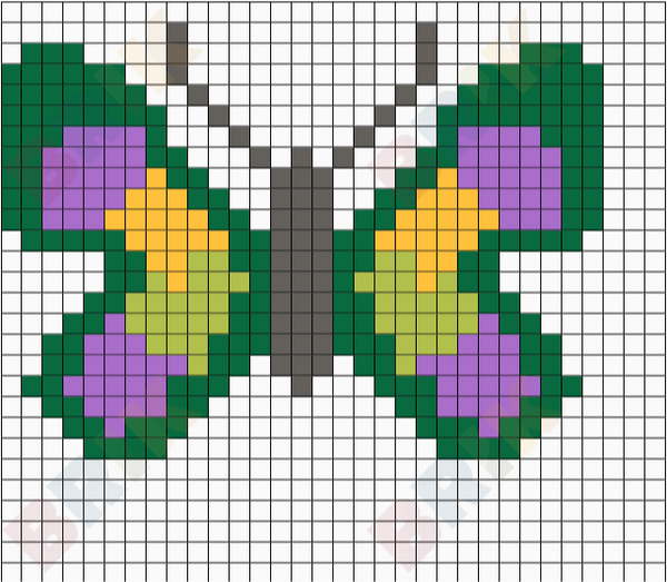 butterfly