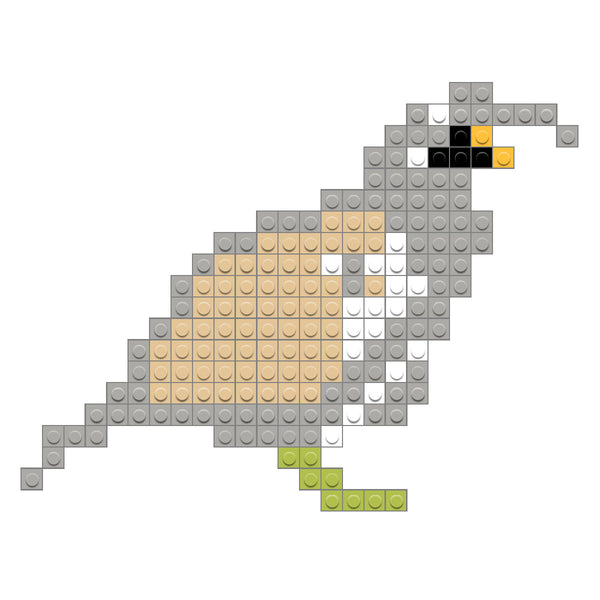 CA Valley Quail