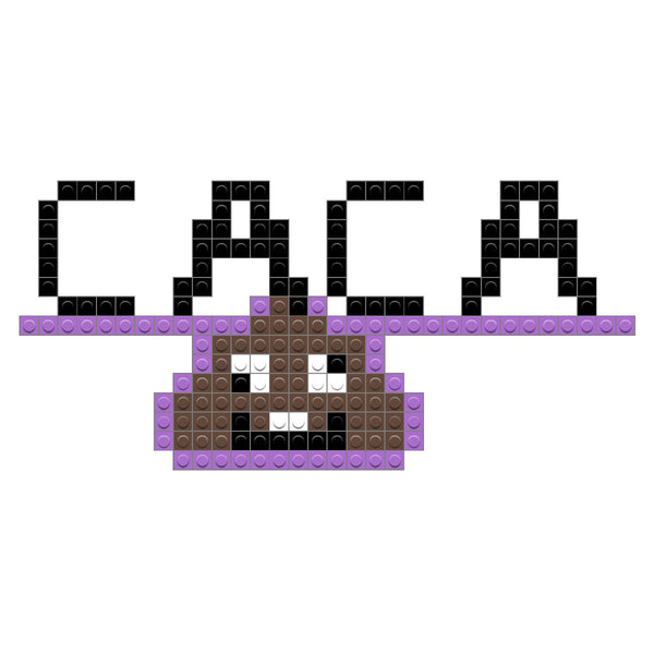 caca123456789001
