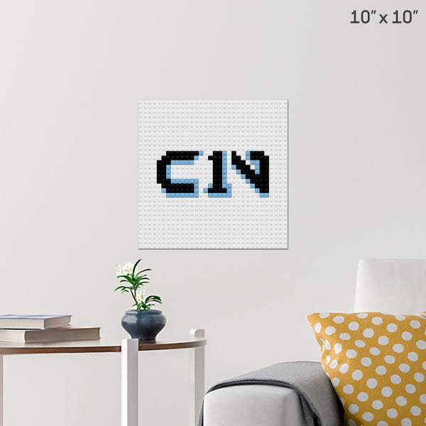 Cam Newton Brick Poster