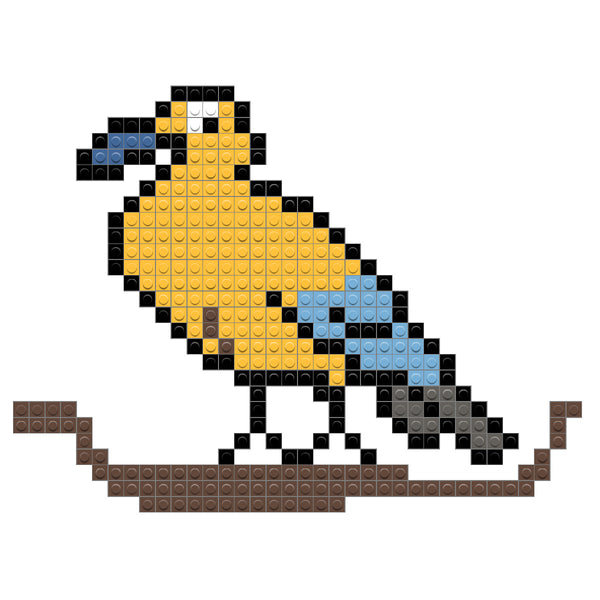 Canary