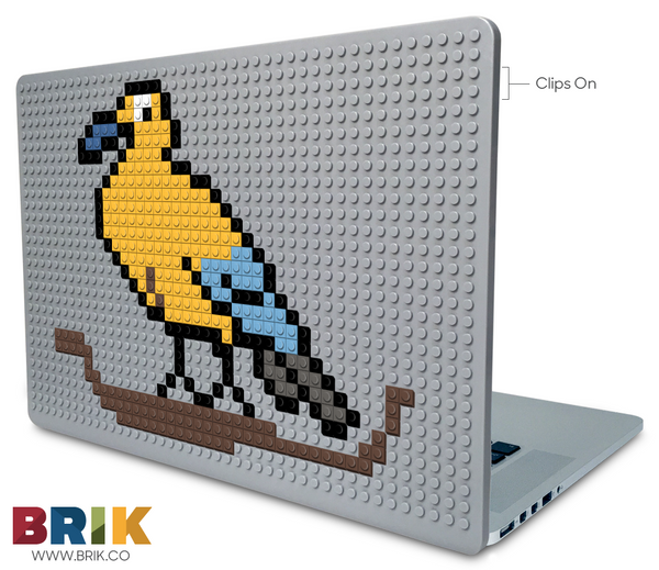 Canary Laptop Case