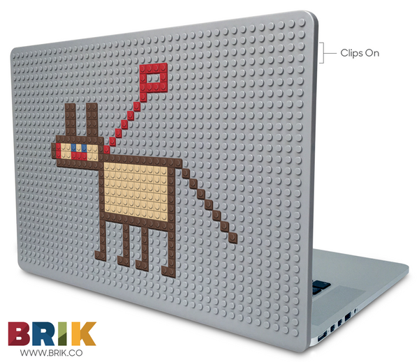 cane Laptop Case