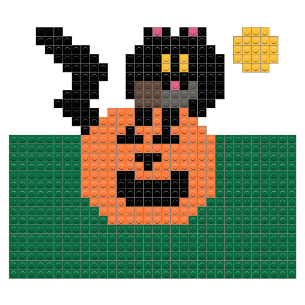 cat and pumpkin
