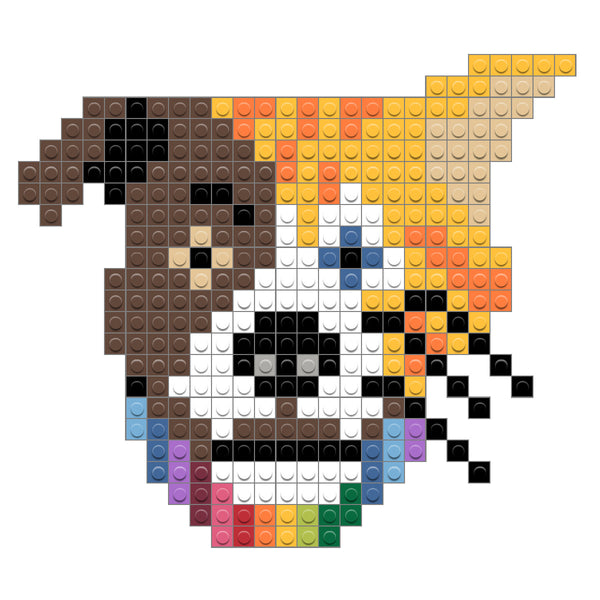 Cat Dog