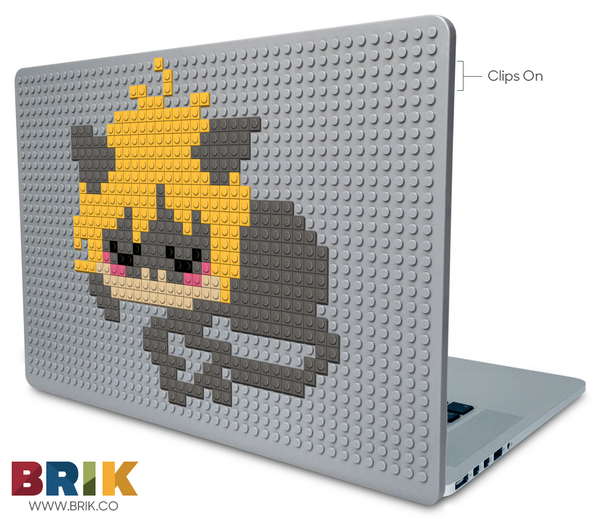 Cat Noir Laptop Case
