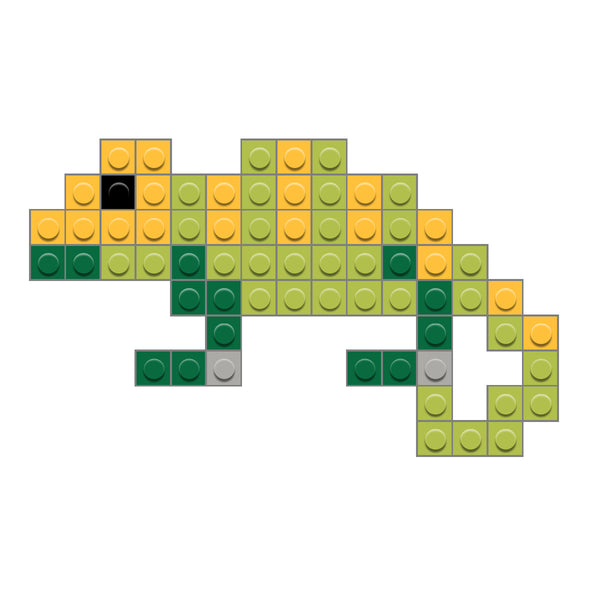 chameleon concept