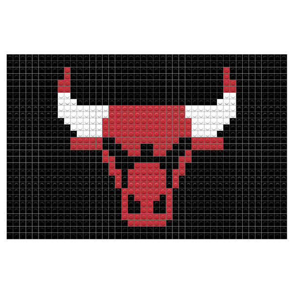 Chicago Bulls