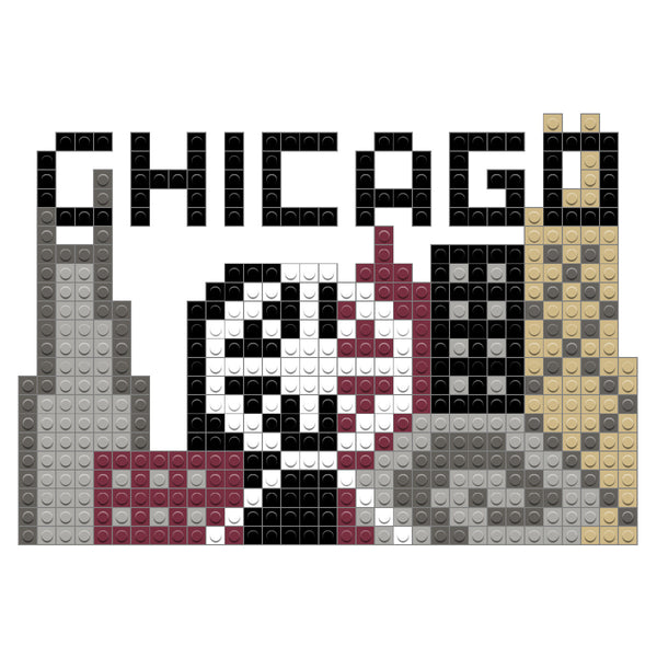 Chicago skyline with ferris wheel