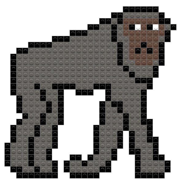 Chimpanzee