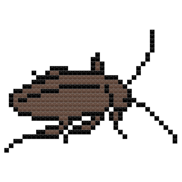 Cockroach