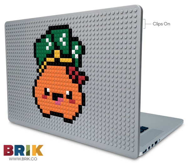 Coin Purse Laptop Case