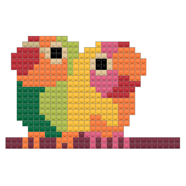 colourful parrots