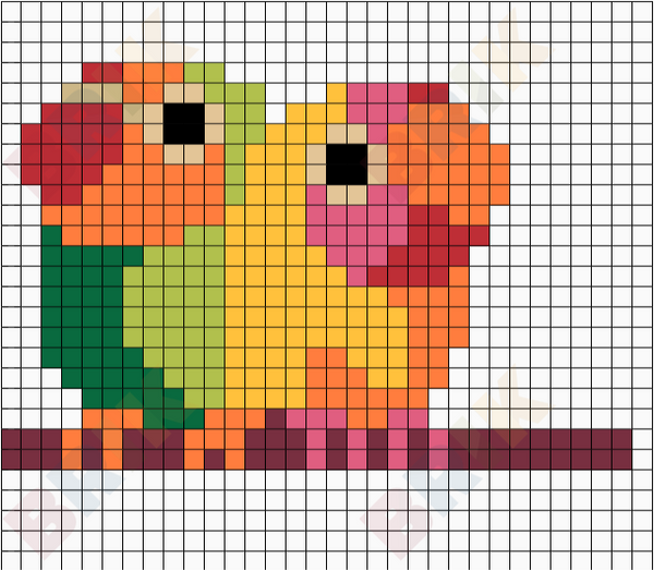 colourful parrots